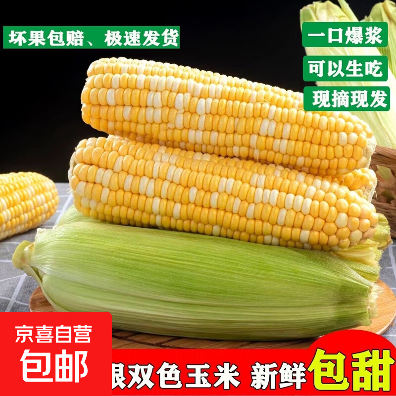 云南金银水果玉米甜玉米香甜爆汁现摘现发新鲜即食健康减脂早餐 净重5斤（单根300g+）