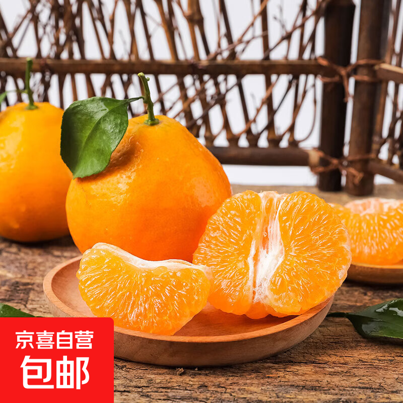 四川正宗春见耙耙柑 当季新鲜水果 橘子 带箱5-6斤精选大果-单果75mm+