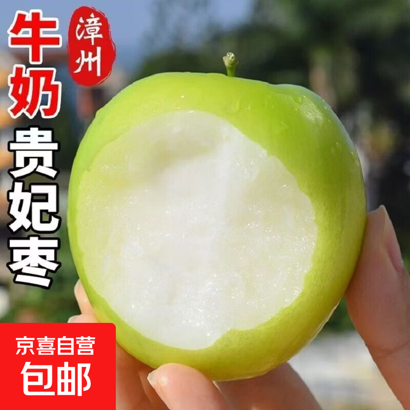 福建青枣牛奶枣新鲜水果脆甜枣贵妃蜜枣当季孕妇可吃现摘现发 带箱5斤净重4.5斤【单果50g起】