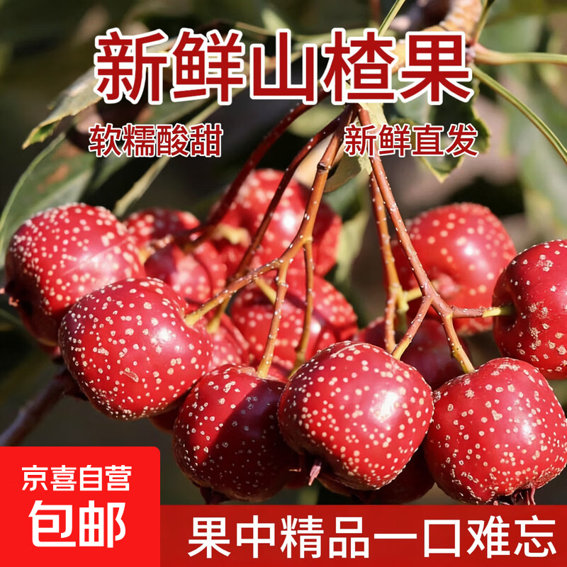 甜口山楂果新鲜山楂果甜红子小山楂山里红樱桃大金星鲜果-盛禾田 甜红子山楂2斤装