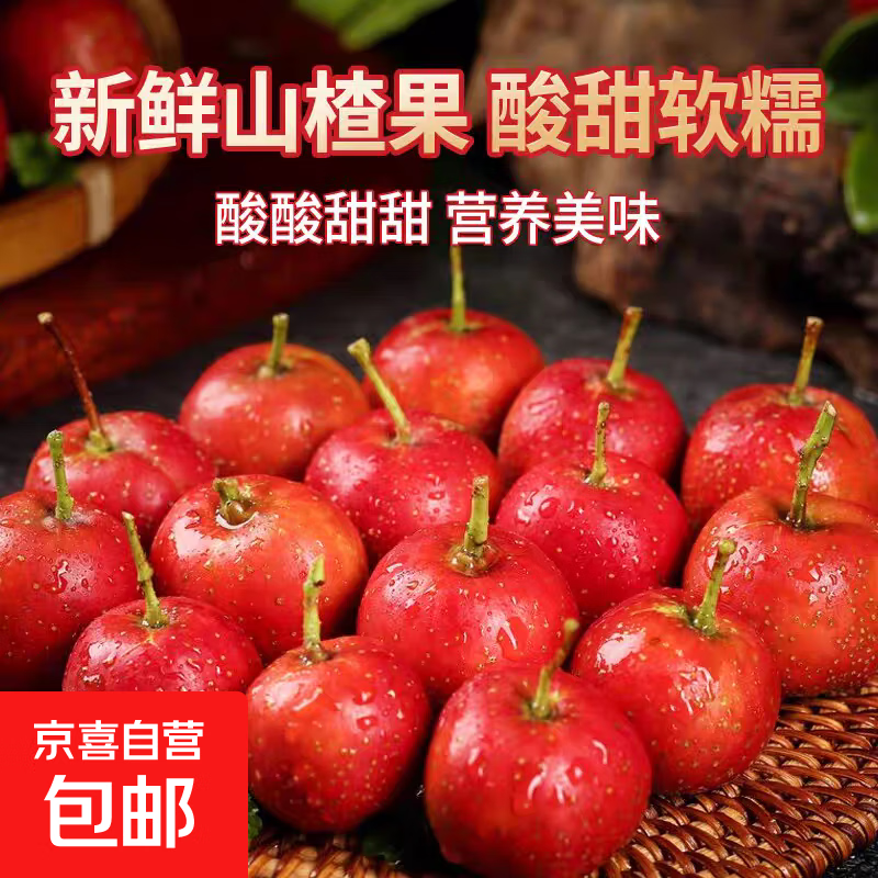 新鲜山楂果大山楂鲜果红果鲜山楂大果山里红冰糖葫芦现摘-盛禾田 甜红子山楂2斤装