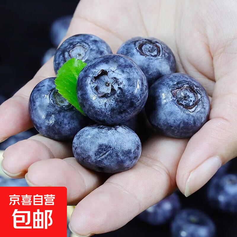 云南国产蓝莓 大果蓝莓 孕妇精选新鲜水果生鲜 2盒装 多买多划算【90-115g/盒】 【单果15mm+】
