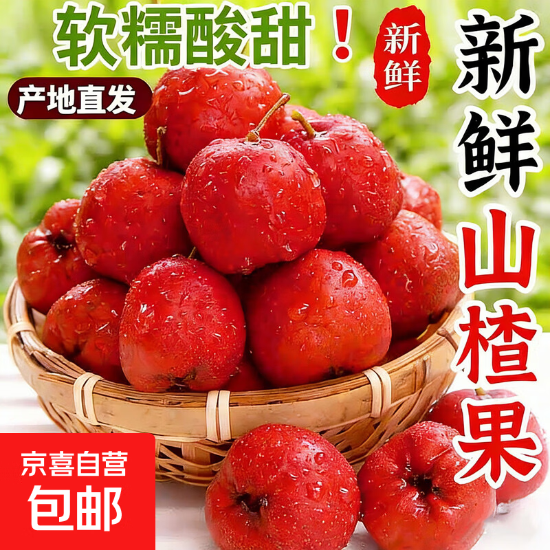 新鲜山楂鲜果大果现摘迷你小山楂果甜红子山里红冰糖葫芦-盛禾田 甜红子山楂1斤装