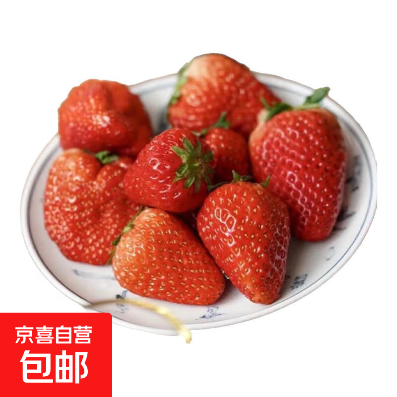 【京东陆运】正宗红颜奶油草莓99牛奶应季水果冬草莓-伊可通 净重600g（大果 单果15g+）