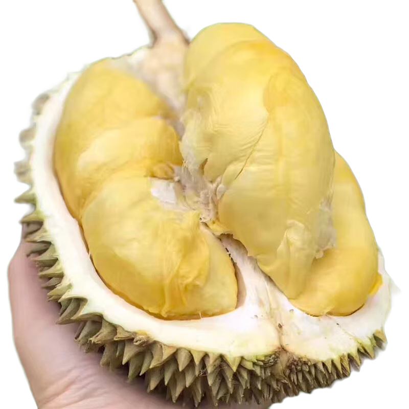 鲜惠源泰国进口金枕头榴莲鲜果  金枕榴莲 2-3斤金枕榴莲（单个）
