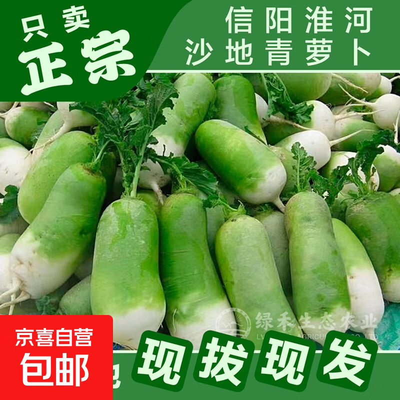 河南青萝卜水果萝卜腌萝卜干专用冬储菜真便宜超市直播间 新鲜青萝卜8斤含箱