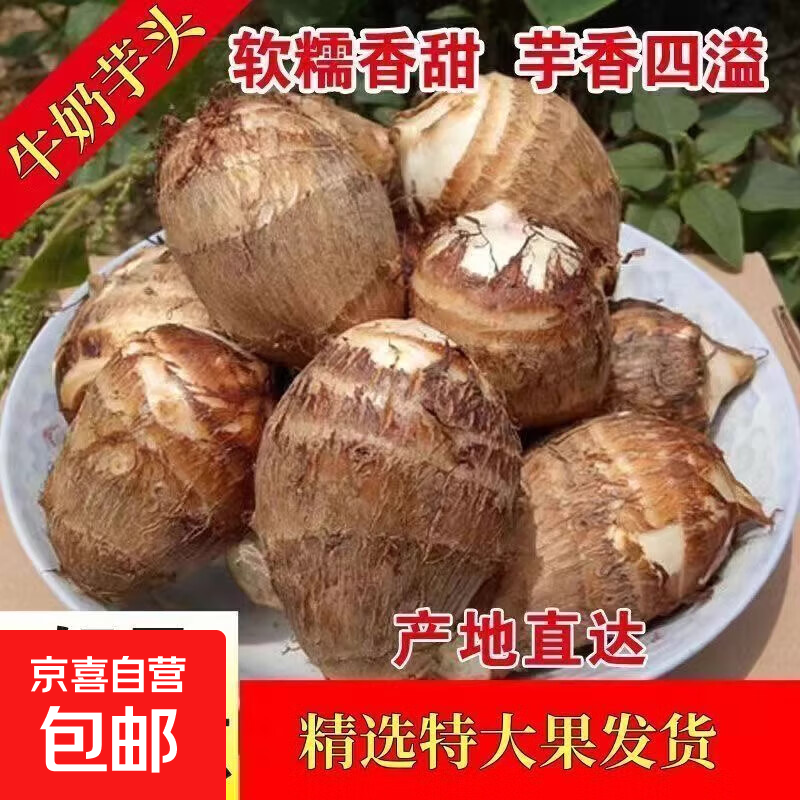 山东牛奶小芋头新鲜芋艿红薯地瓜农家蔬菜早餐辅食直播间超市 正宗山东牛奶毛芋头【1斤装】