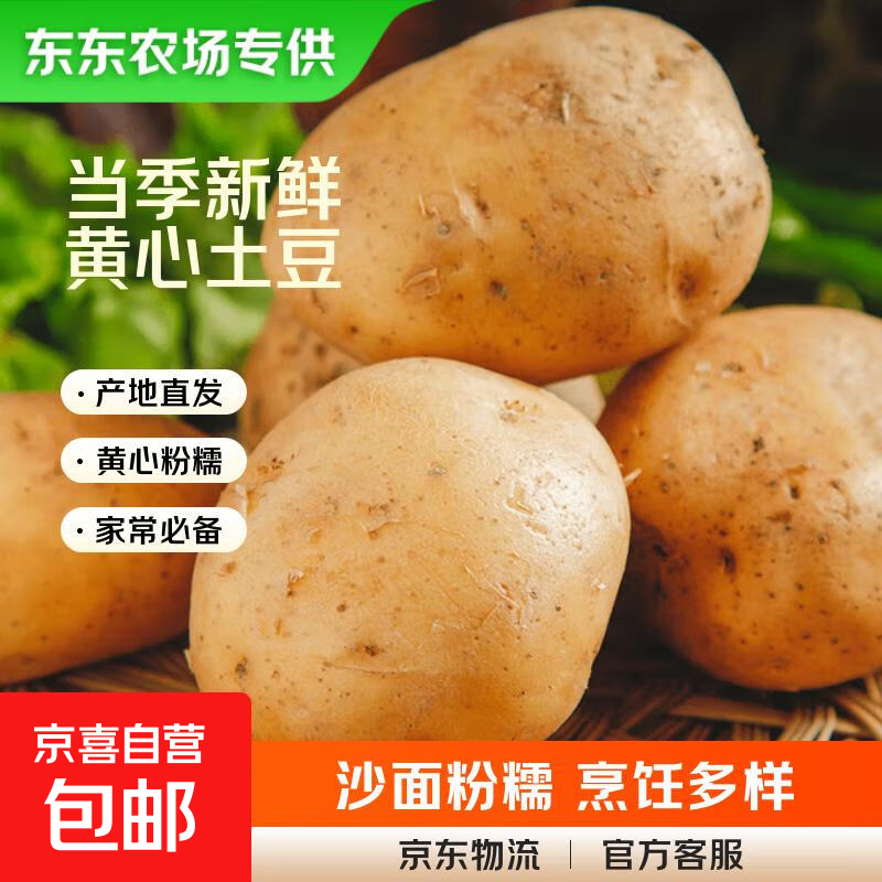 【东东农场专供】25年山东新鲜土豆黄心黄皮马铃薯黄心土豆蔬菜 黄皮黄心土豆 2斤 净重 中大果