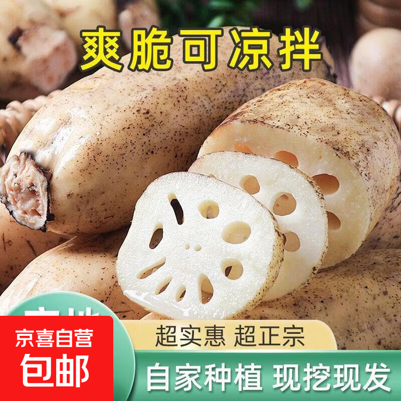 正宗洪湖莲藕九孔水果脆藕现挖现发火锅食材轻食沙拉蔬菜京东快递 新鲜水果脆莲藕5斤 不带泥真空发货