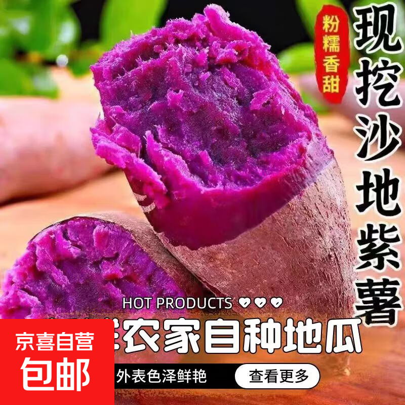 正宗沙地精品紫薯新鲜现挖软糯香甜番薯紫精选地瓜 产地直发 含箱1斤 中小果 单果（1两-3两）
