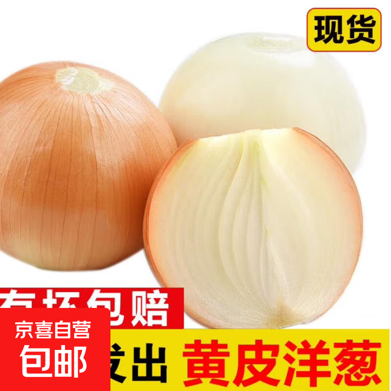 新鲜黄洋葱黄金水果洋葱即食蔬菜调料烧烤食材 新鲜黄洋葱 2斤 含箱