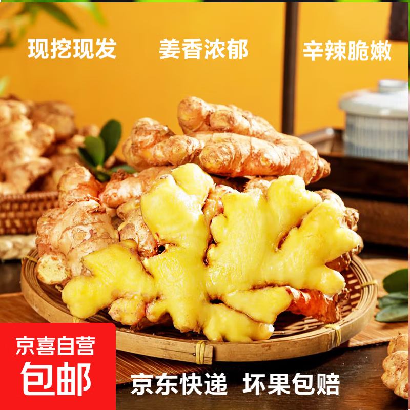 云南小黄姜新鲜生姜子生鲜姜月子姜超市蔬菜调料姜 净重500g