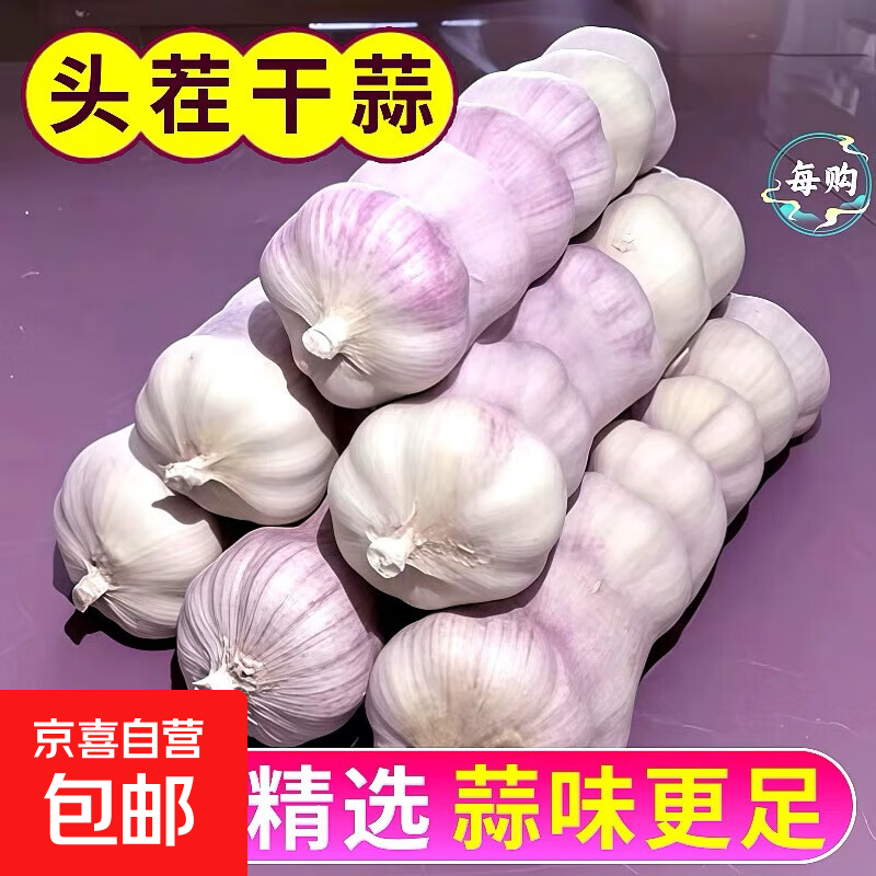 大蒜精装出口蒜出蔬菜水果调料牛肉生蚝小龙虾食材 出口标准网兜装袋3头 70g 中果直径4cm