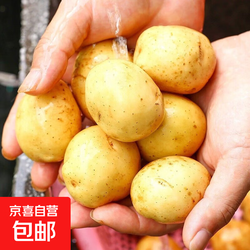 黄心土豆带箱2斤,2.99 红皮土豆带箱3斤,4.98 云南甜花糯玉米10根,14.89 - 线报酷 黄心土豆带箱2斤,2.99 红皮土豆带箱3斤,4.98 云南甜花糯玉米10根,14.89 - 线报酷