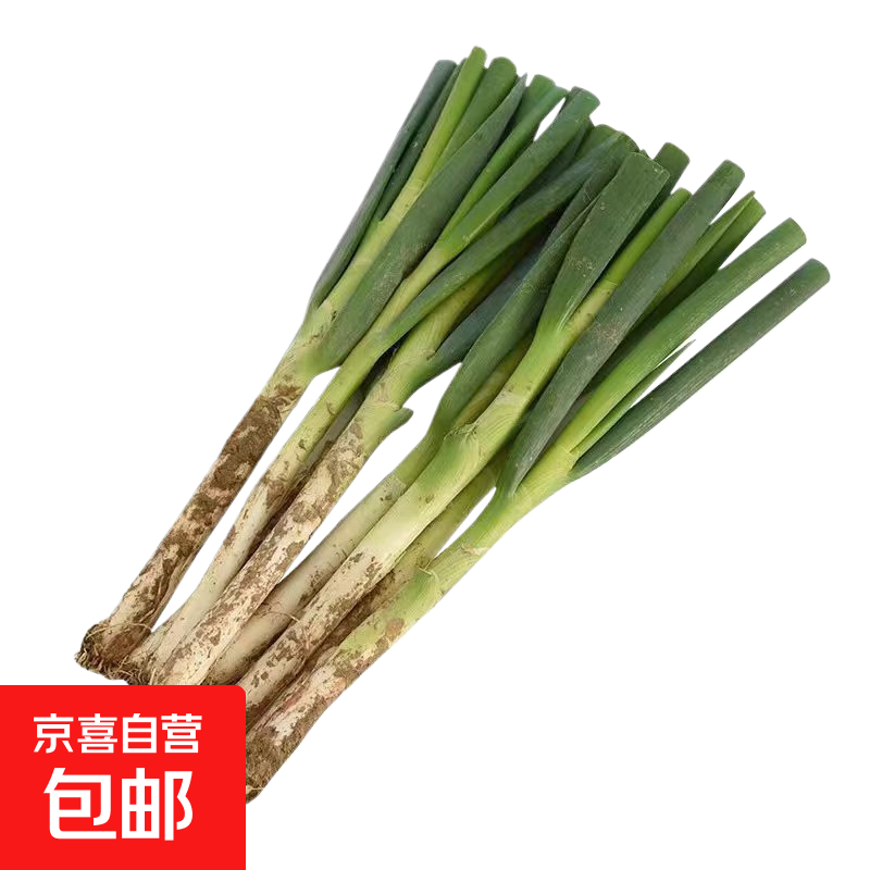 ũ������ɽ�����������ʰ׸˴� ��Ƥȥ��Ҷ����1�� 1.69Ԫ