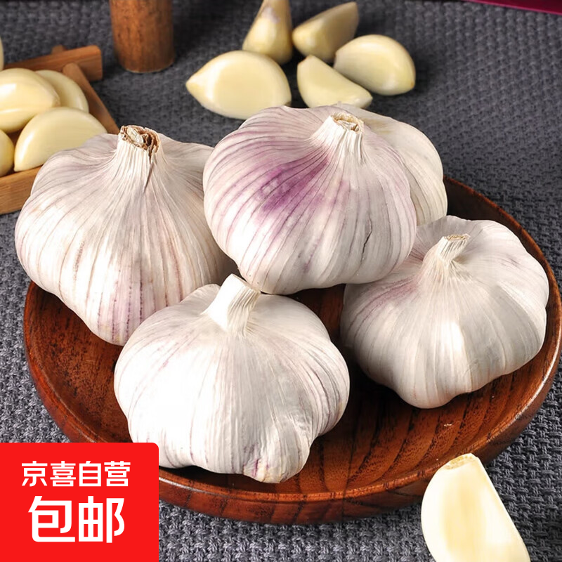 山东紫皮大蒜 新鲜干蒜 个头大多瓣 中大果 1斤（5-5.5）中大果