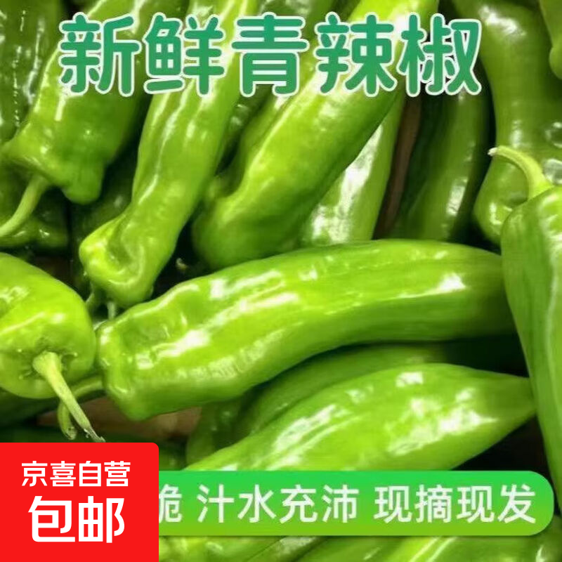 新鲜青尖椒超市生鲜蔬菜下饭菜虎皮尖椒鸡蛋伴侣 尝鲜 500g 含箱