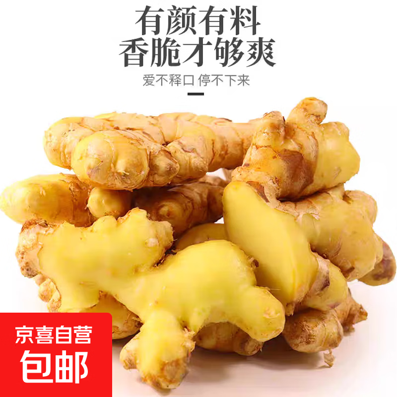 【东东买菜】新鲜贵州生姜子小黄姜水洗净姜月子老黄姜蔬菜调料 3斤装净重1500g