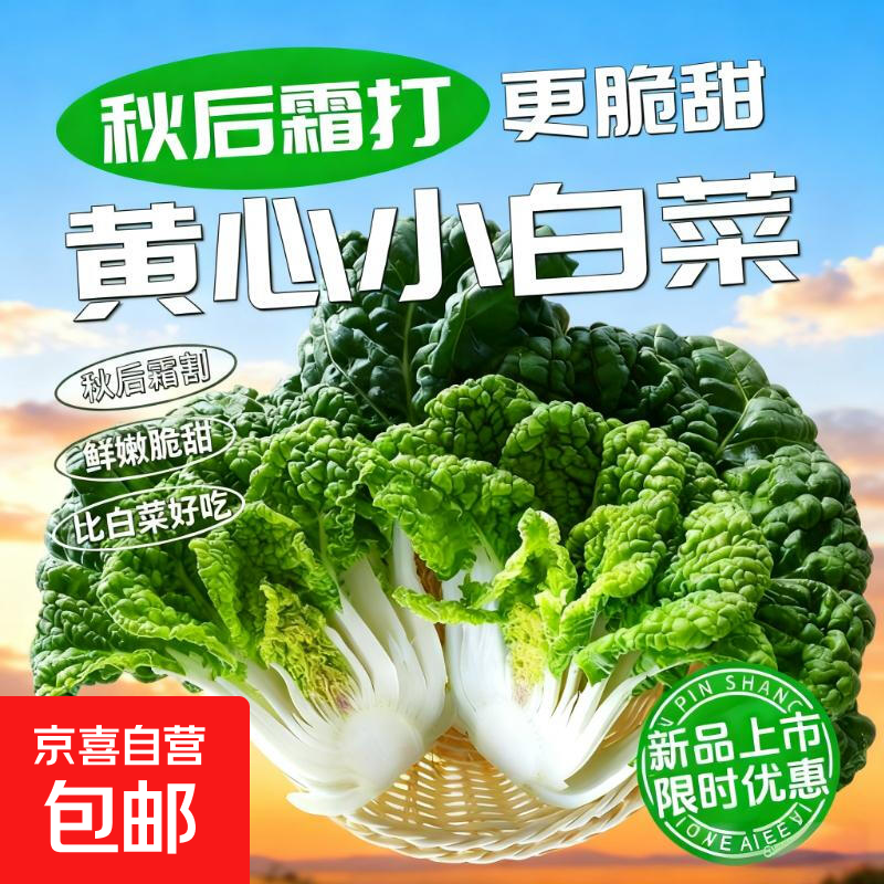 【东东买菜】霜打黄心小白菜乌塌菜小青菜清炒涮火锅菜新鲜蔬菜 【黄心菜】带箱2斤 地头现挖 人工精选纸箱保温袋偏冷地区专拍】
