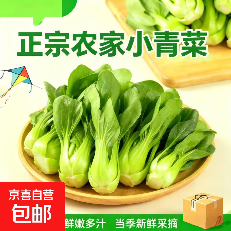 【东东买菜】四季小青菜自种大棚小油菜现摘超市涮火锅时令蔬菜 小青菜2斤装【含箱】