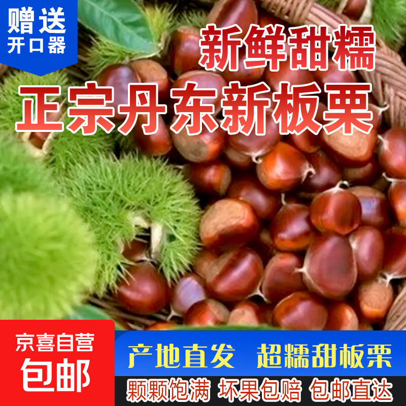 【秋果之王】25年丹东新鲜板栗现摘现发粉糯香甜蔬菜水果 丹东板栗 2斤