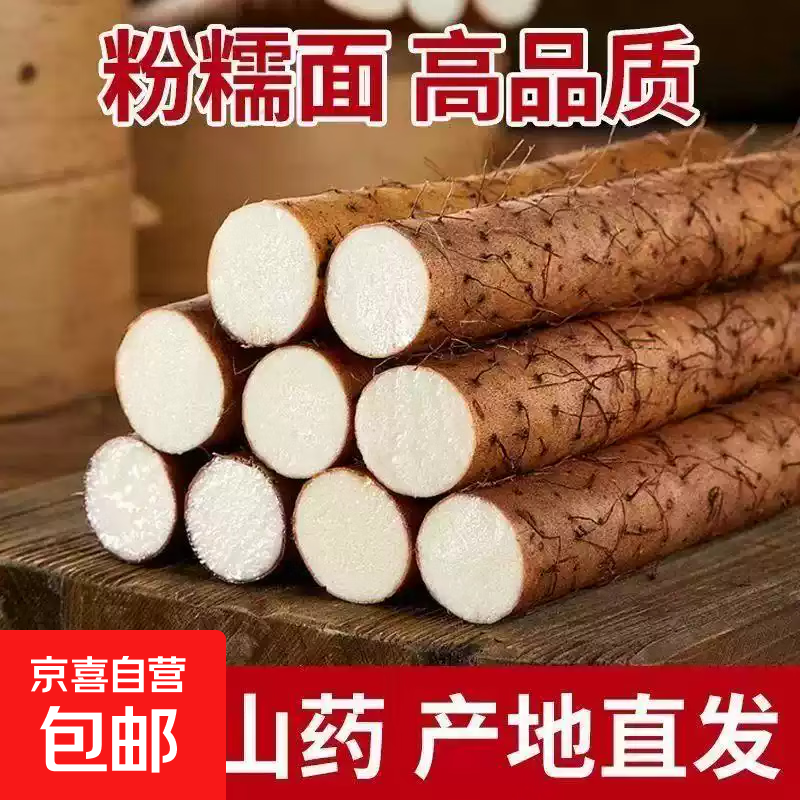 正宗铁棍山药新鲜现挖铁杆淮山农家小白嘴山药软糯甘香老少皆宜 20-40cm 1斤