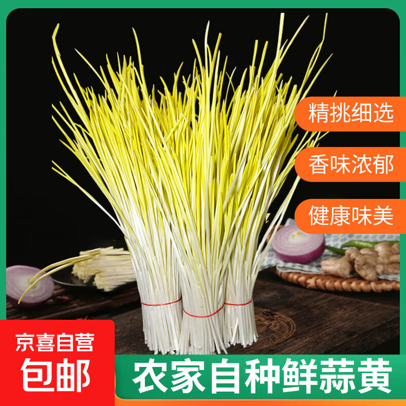 尝鲜300g新鲜蒜黄韭菜蒜薹 超值价7.99元 尝鲜300g新鲜蒜黄韭菜蒜薹 超值价7.99元