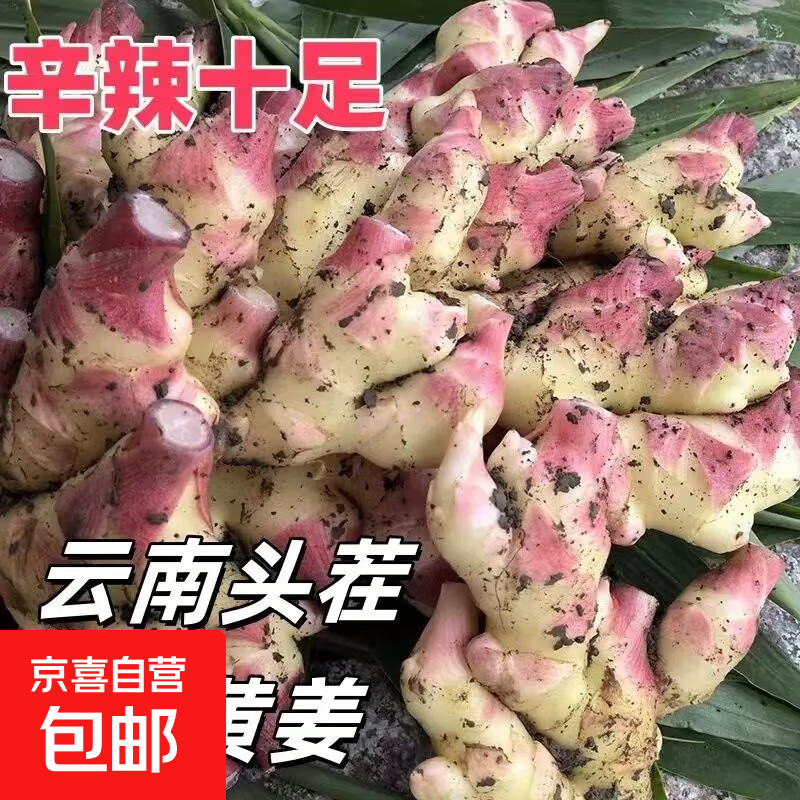 新上市现挖现发农家红芽云南小黄姜月子姜泡姜醋姜略带姜丝 带箱2斤
