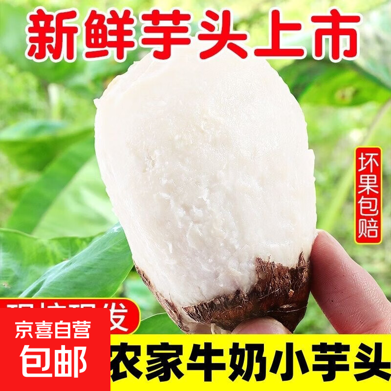 正宗山东新鲜牛奶小芋头毛芋头香芋应季蔬菜芋艿农家芋仔粉糯整箱 牛奶小芋头20g+小果（1斤装）