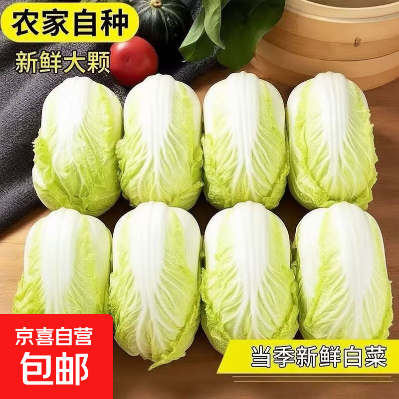 2025新鲜黄心大娃娃菜大白菜蔬菜辣白菜酸菜包心菜黄心白菜 新鲜娃娃菜2斤