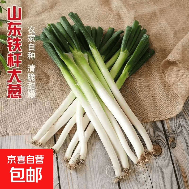 山东正宗铁杆大葱新鲜净葱长白葱蔬菜调料火锅食材蘸酱清甜脆嫩 净葱去皮去半叶2斤带箱净重1.5斤