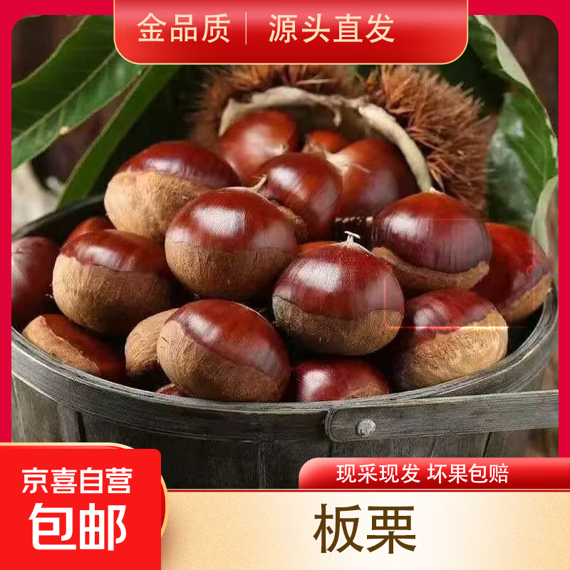 【东东买菜】25年高山新鲜板栗红皮板栗香甜软糯煲汤蔬菜生鲜 高山新鲜板栗活动 1斤 净重