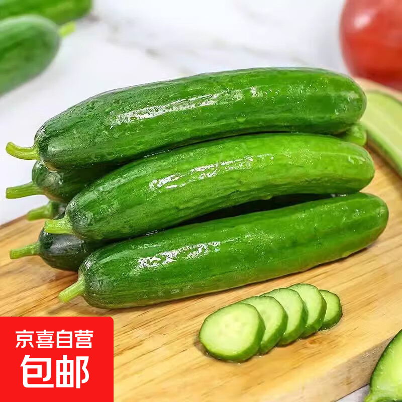 山东小黄瓜新鲜水果黄瓜现摘生吃脆甜青瓜整箱批发 水果黄瓜尝鲜 1斤