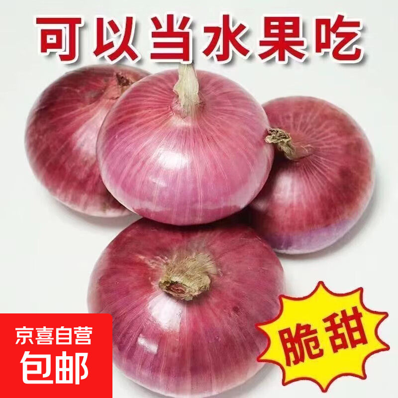 山东特产水果扁洋葱甜瓜口感红皮扁葱头生吃脆甜蘸酱好吃粉嫩 紫皮洋葱大果带箱 2斤 精选