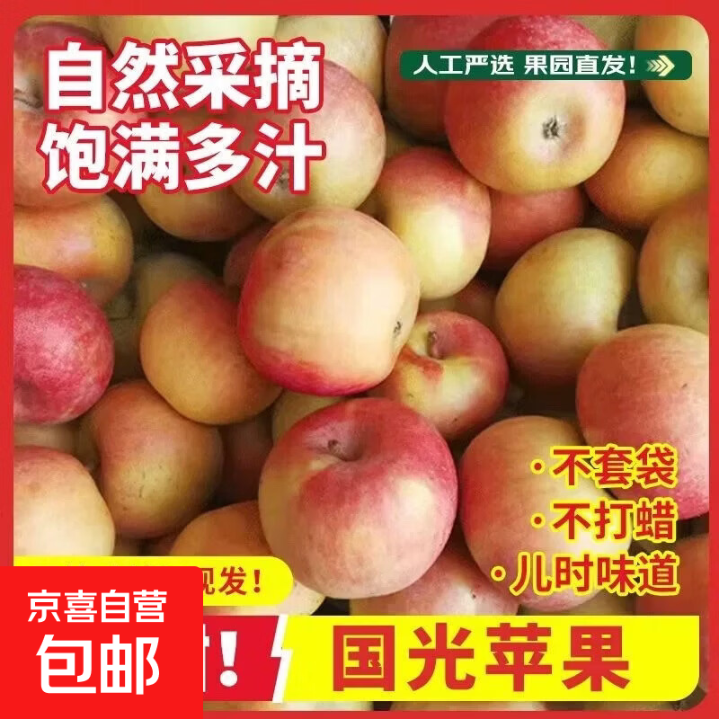国光小苹果香甜多汁不套袋笨国光产地直发当季新货整箱批发 中果带箱约5斤装，净重4.5斤