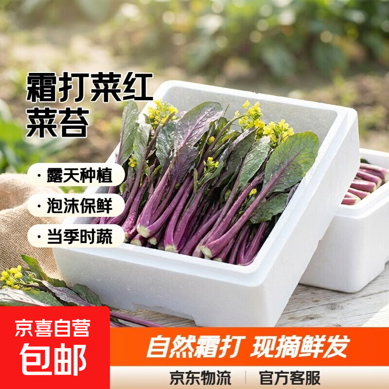 ��˪��ˡ�ũ��¶����̦�ϲ�̦����ũ��������ժ�ַ������߲� ũ������ ��ĭ�䷢�� ����4�� 8.99Ԫ