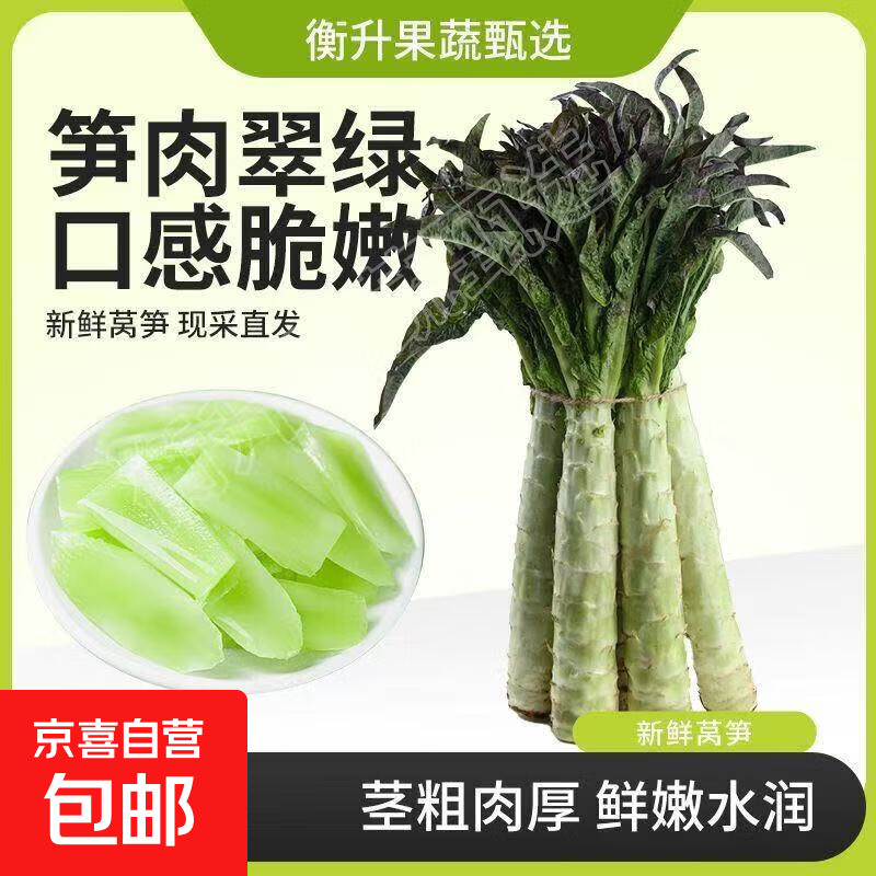 云南高山新鲜现摘紫叶香莴笋农家自种香莴苣莴 带箱5斤新鲜带叶现摘现发