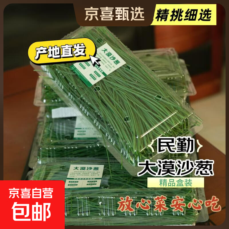 【精品盒装】沙葱甘肃民勤新鲜沙葱现采现发蔬菜生鲜健康产地批发 净重1斤尝鲜 原产地现采现发