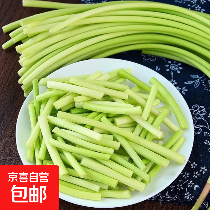 农家自种长蒜苔30cm长度粗细适中色泽饱满高品质生鲜超市蒜苔 河北蒜台净重1.8斤 带箱2斤