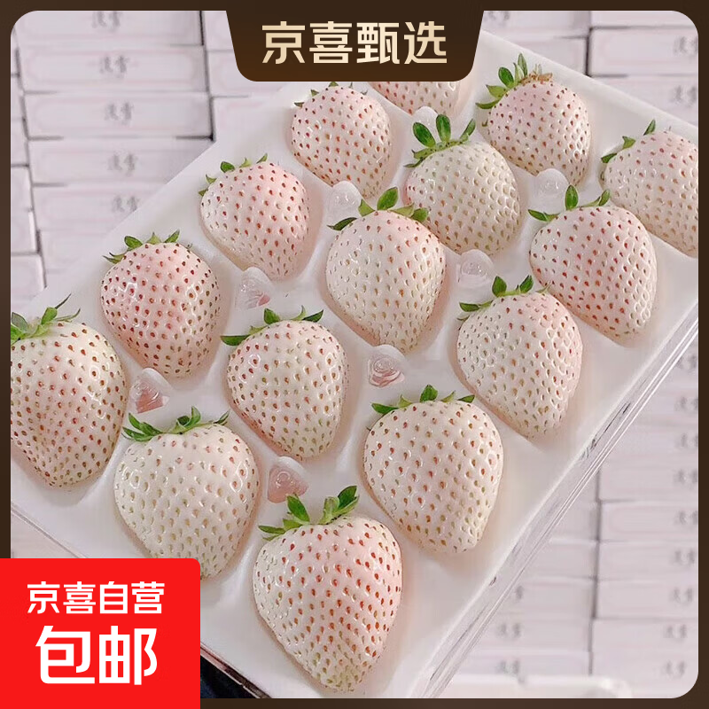 山东淡雪白草莓奶油草莓新鲜当季高档水果送女朋友礼物白草莓九曲 淡雪草莓250g【1盒*精美礼盒】 精选果 单果12g+【20粒/盒】鲜嫩多汁