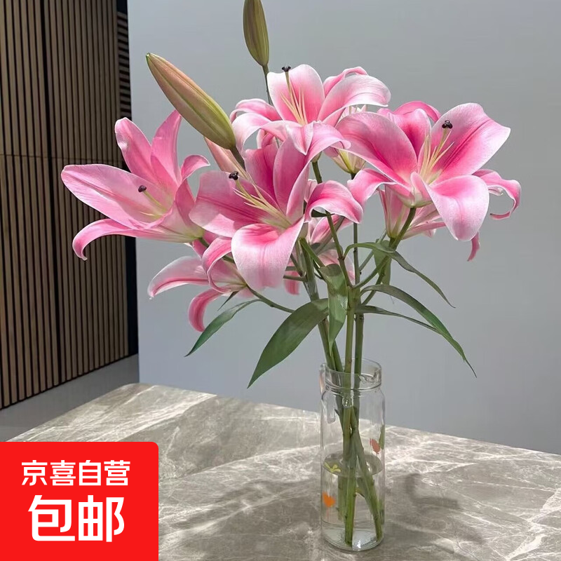 百合花鲜花基地直发鲜花家用水培插花情人节礼物春节装饰年宵花 粉百合55-60cm  10个花苞（品种随机）