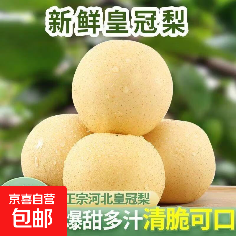 正宗河北皇冠梨深县皇冠梨产地直发14 带箱2斤装1.6-1.8斤