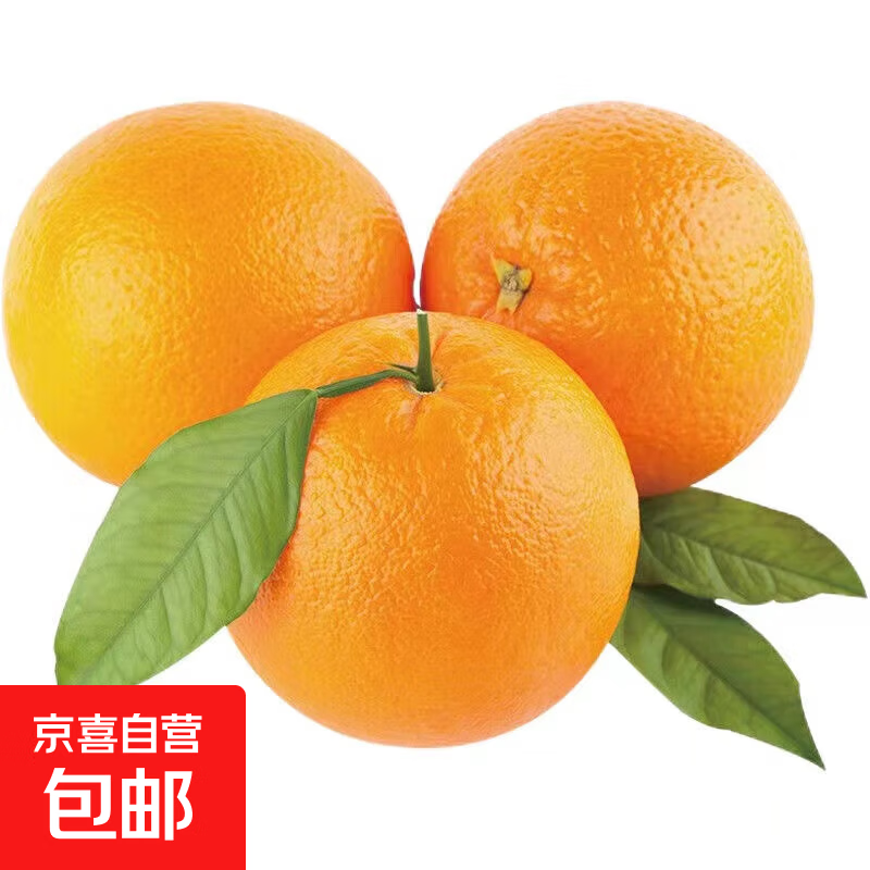 正宗赣南早熟橙手剥橙当季水果新鲜现摘果冻橙赣南早橙 赣南早带箱2斤装80-89mm