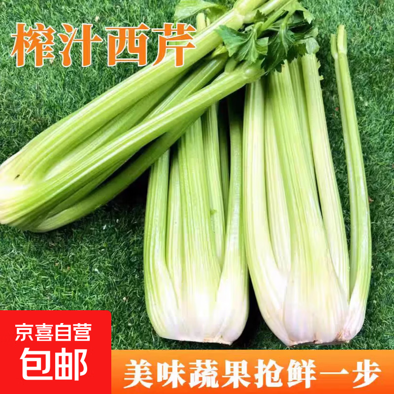 东东买菜减肥瘦身减脂山东大西芹水果西芹去叶新鲜蔬菜新鲜榨汁 3斤