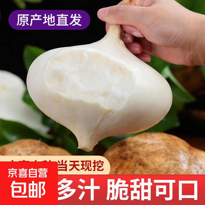 【东东买菜】广西新鲜凉薯生吃减脂水果地瓜牛奶白心地瓜京东包邮 带箱5斤 （净重4.5斤）