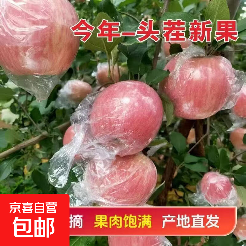 【膜袋红富士】山东正宗膜袋红富士本地苹果脆甜可口当季新鲜可口 单果果径70mm+ 家庭款【净重4.5斤】