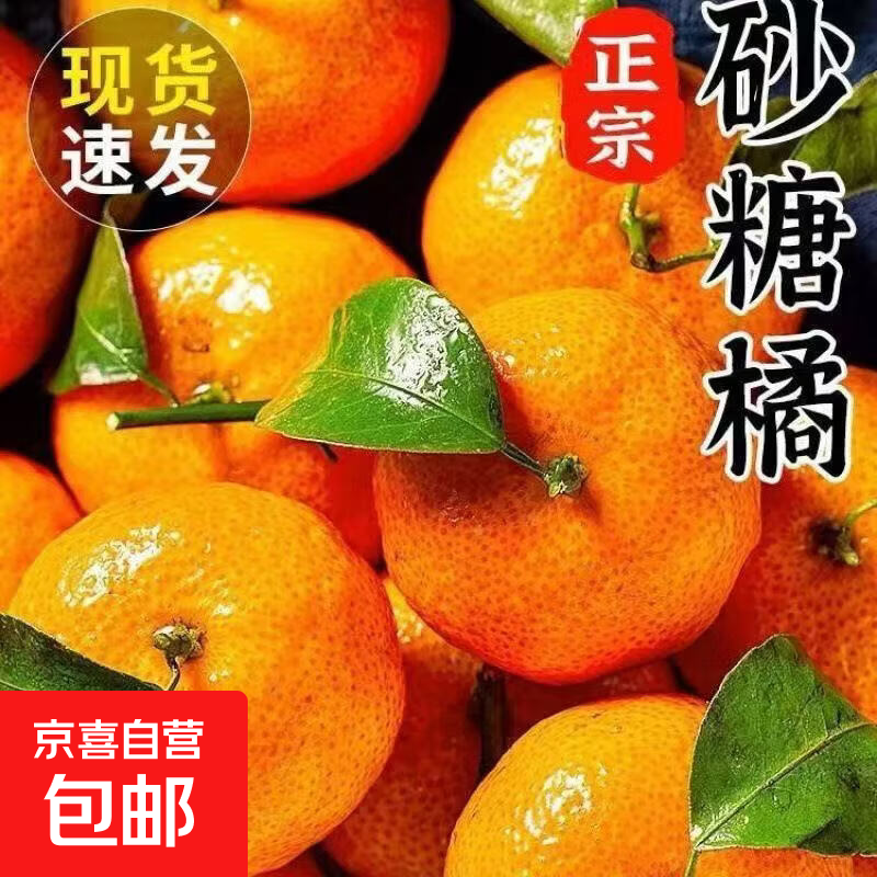 整箱正宗广西砂糖橘新鲜当季水果沙糖桔橘子薄皮少籽多汁砂糖桔 砂糖橘带箱9斤