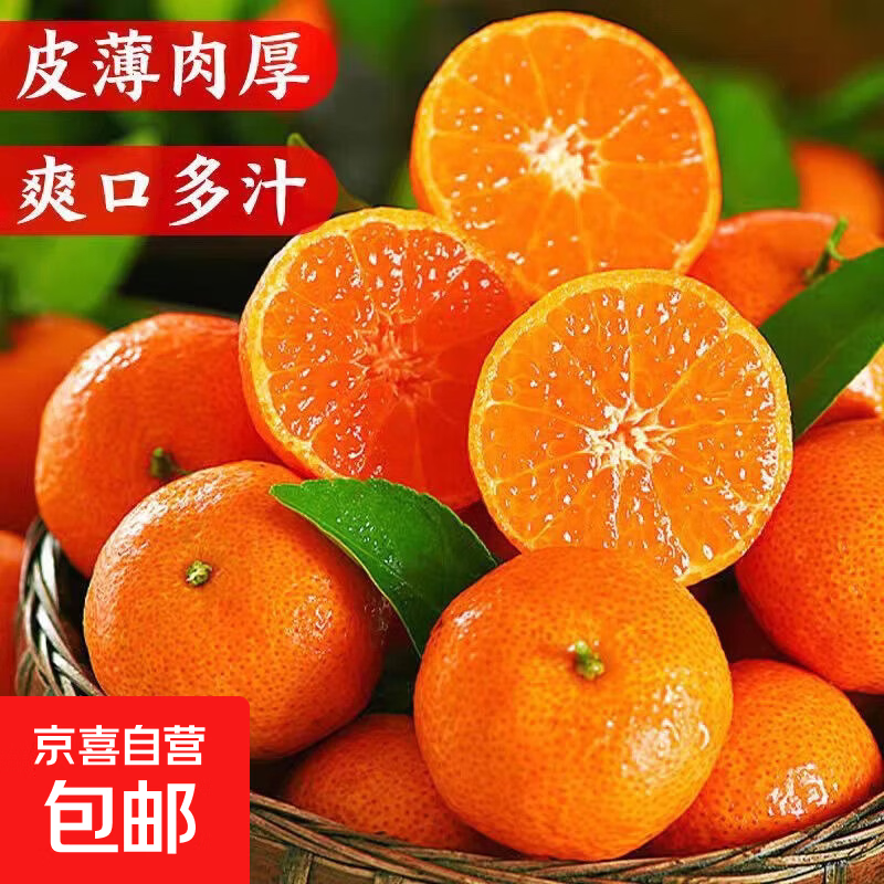 正宗广西砂糖橘沙糖桔无籽当季薄皮橘子新鲜水果薄皮蜜桔整箱包邮 砂糖橘带箱5斤