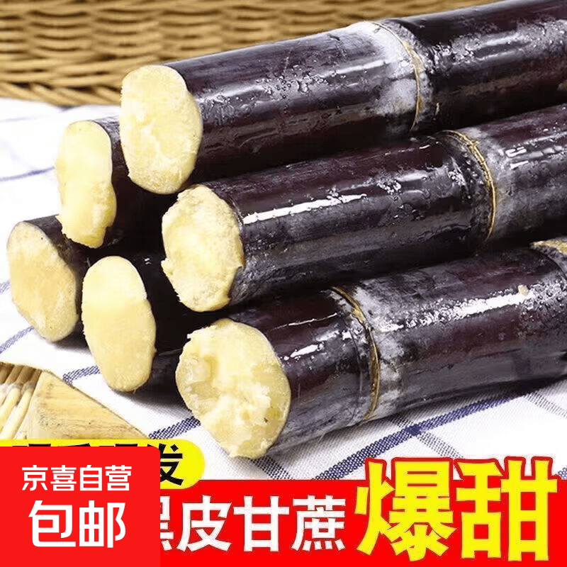 正宗广西梧州黑皮甘蔗鲜甜多汁现砍现发京东快递-蟠龙 带箱9斤【推荐】现砍现发