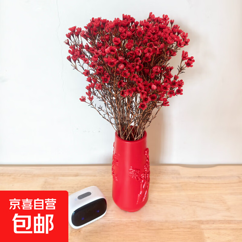腊梅鲜花澳洲腊梅年宵鲜花云南鲜花产地直发—京东快递 红色 1束（100g）长60-70cm